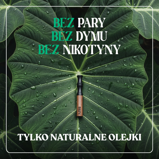 30-DNIOWY PLAN