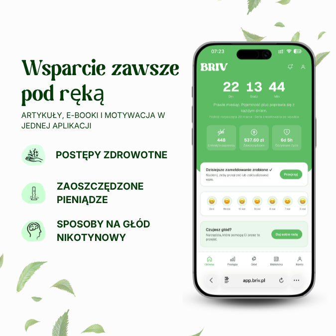 5.webp