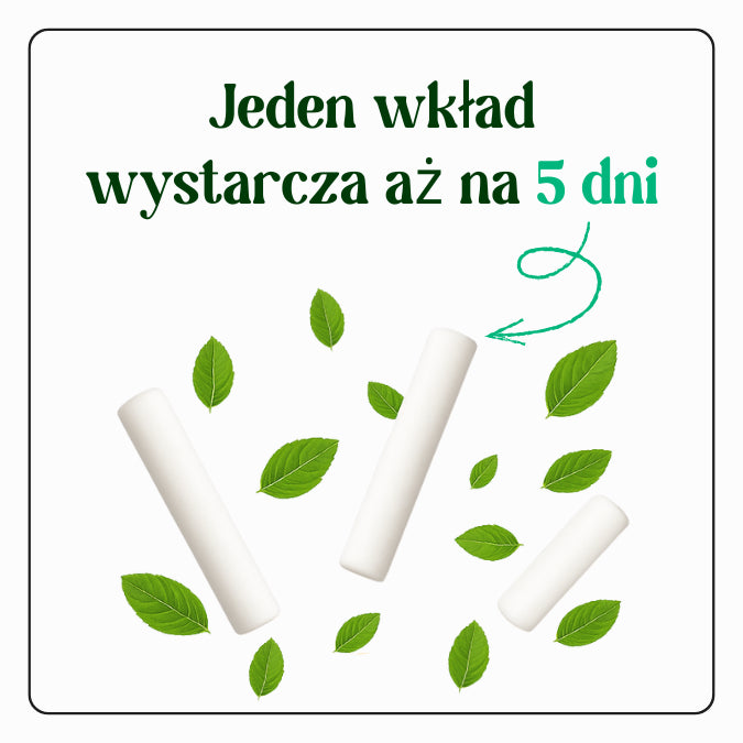 30-DNIOWY PLAN