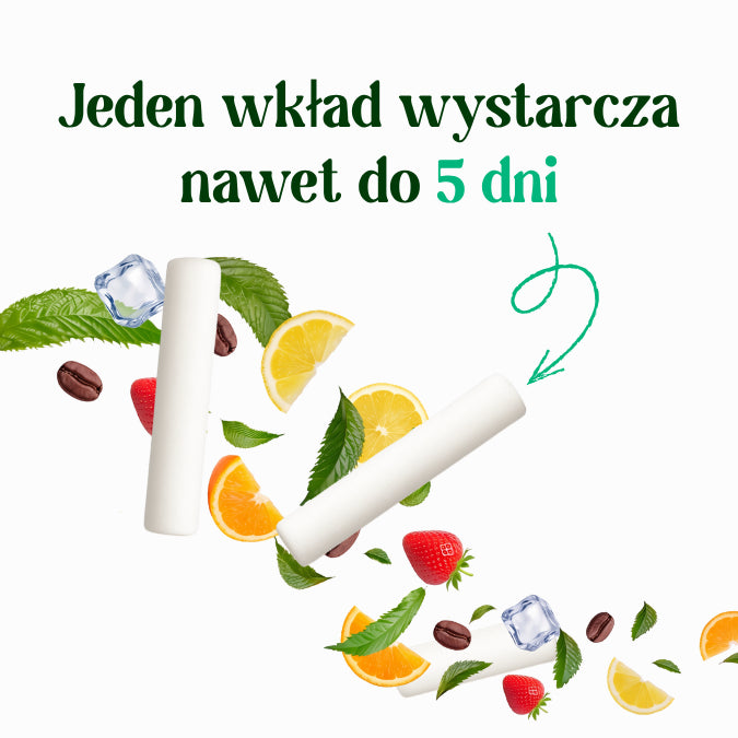 6.webp