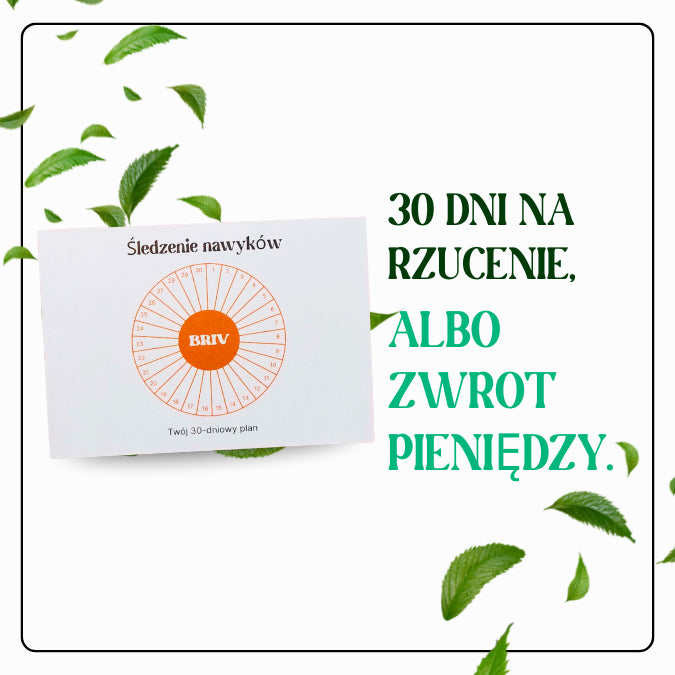 30-DNIOWY PLAN